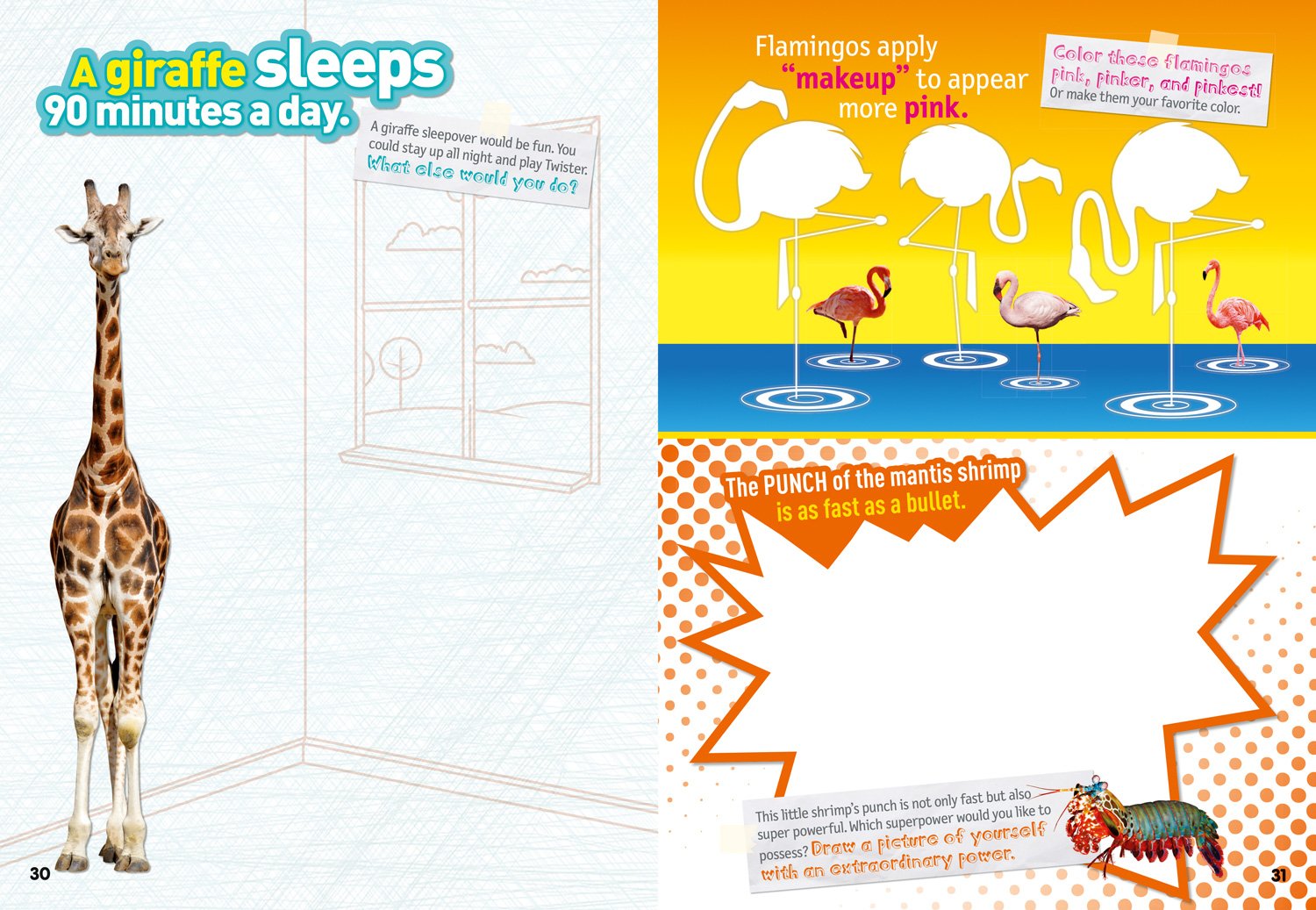 weird but true! sticker doodle book: outrageous facts, awesome activities, plus cool stickers for tons of wacky fun!