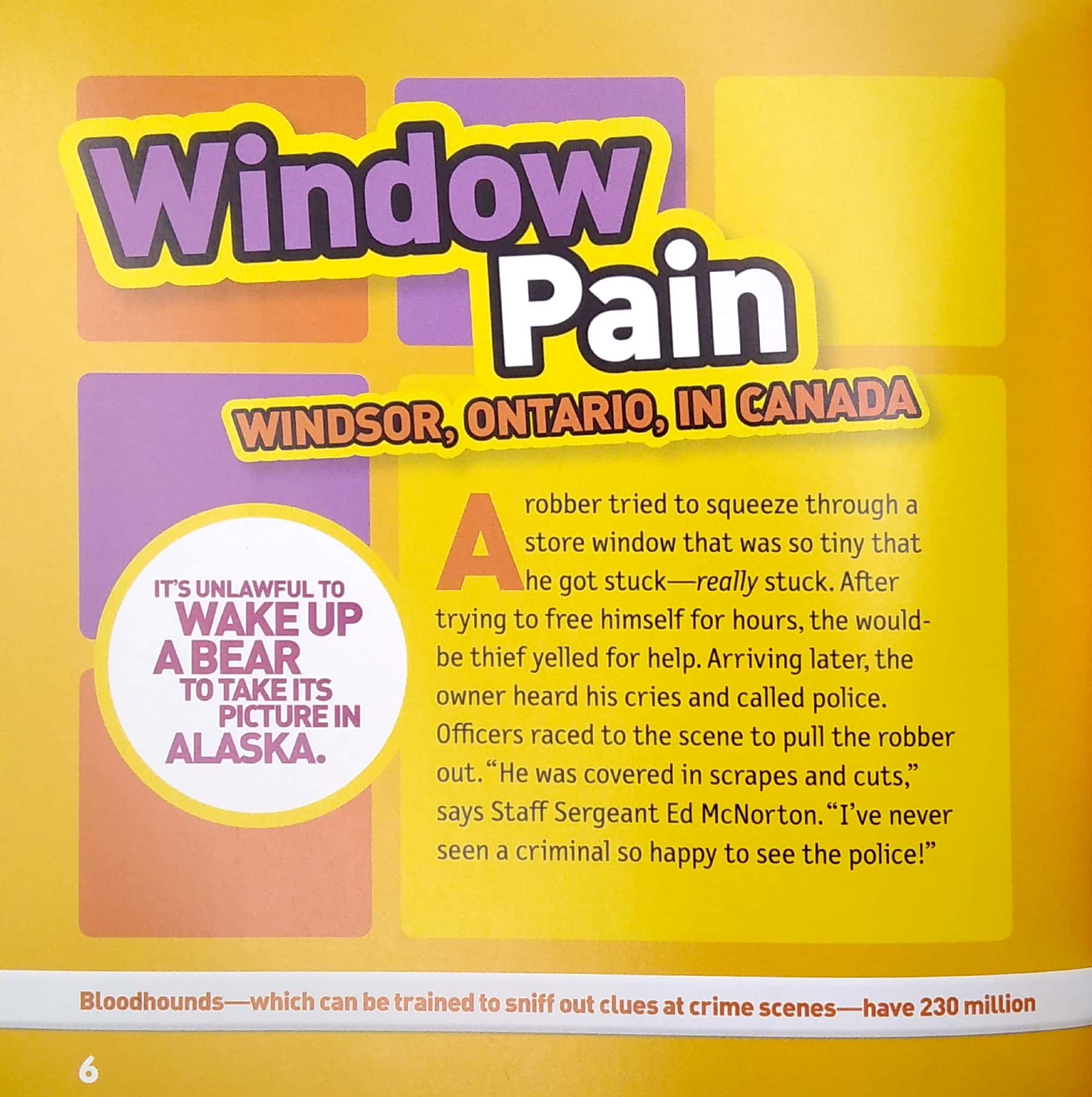 weird but true! stupid criminals: 150 brainless baddies busted, plus wacky facts