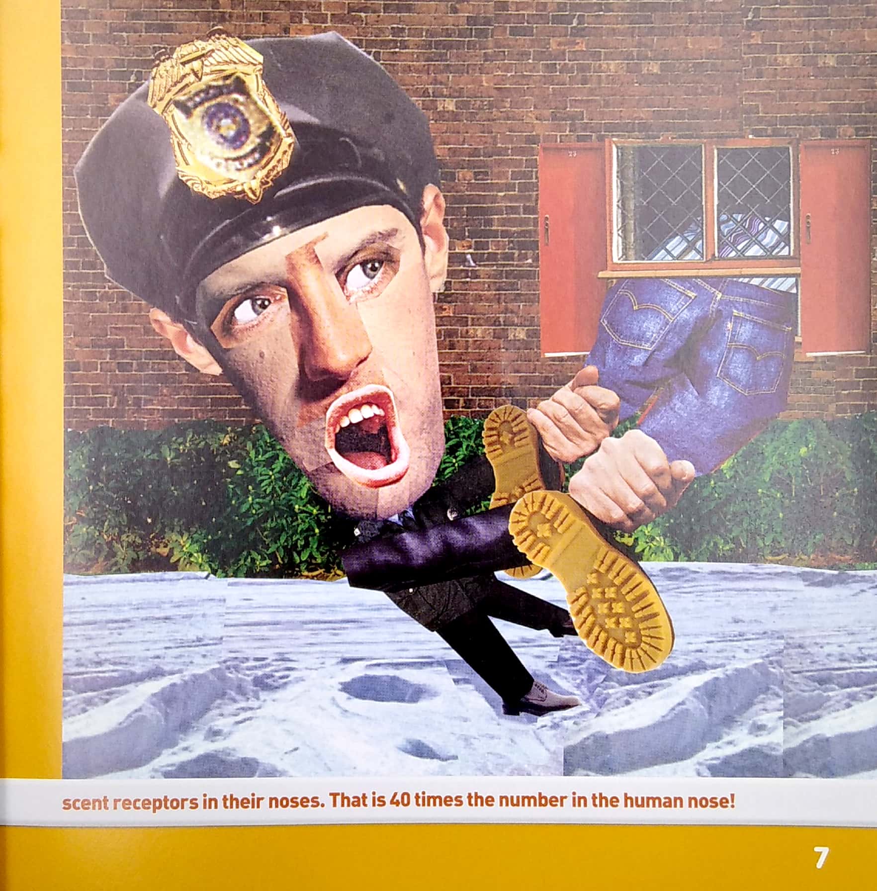 weird but true! stupid criminals: 150 brainless baddies busted, plus wacky facts