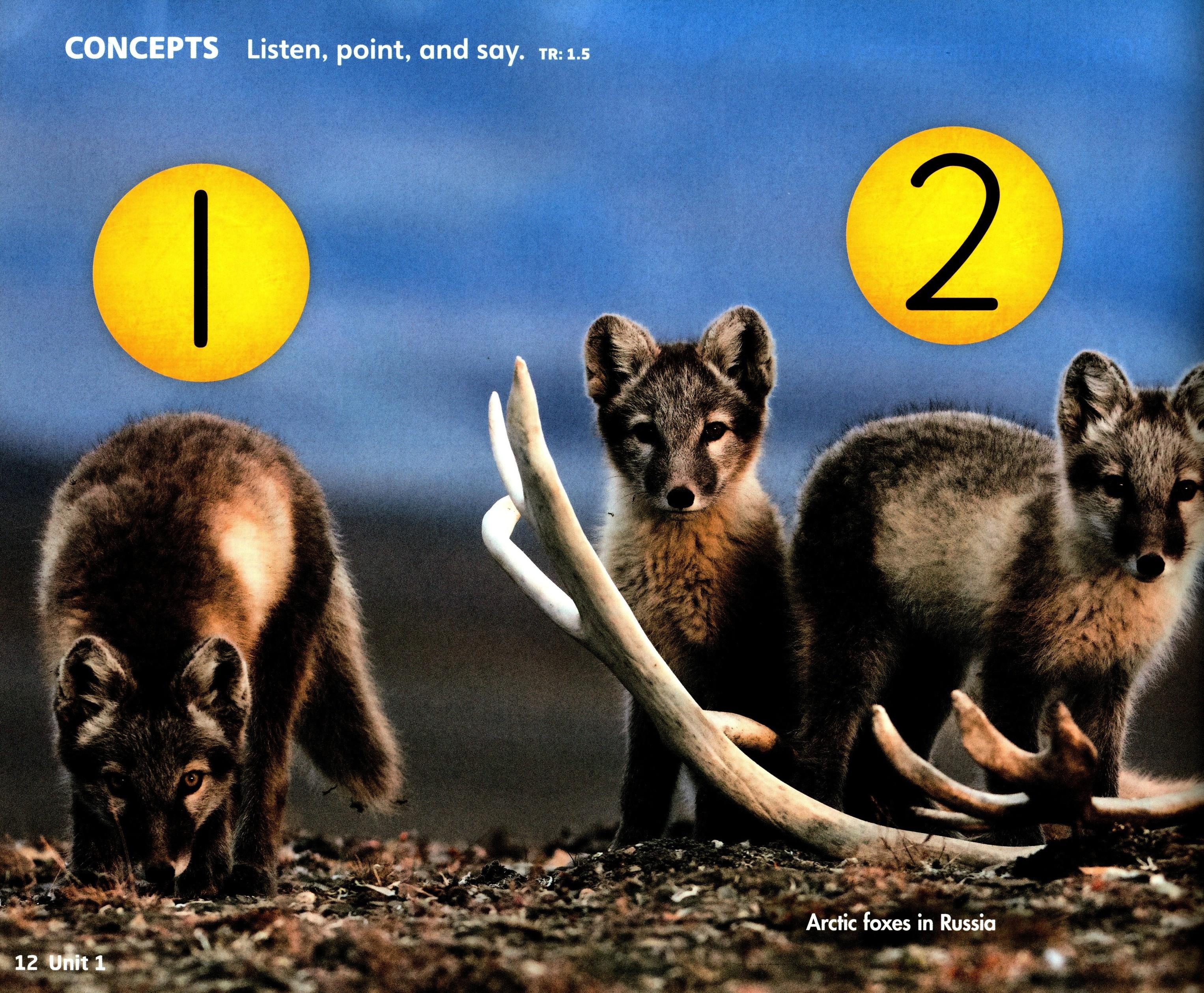 welcome to our world 1 with the spark platform (2nd edition)