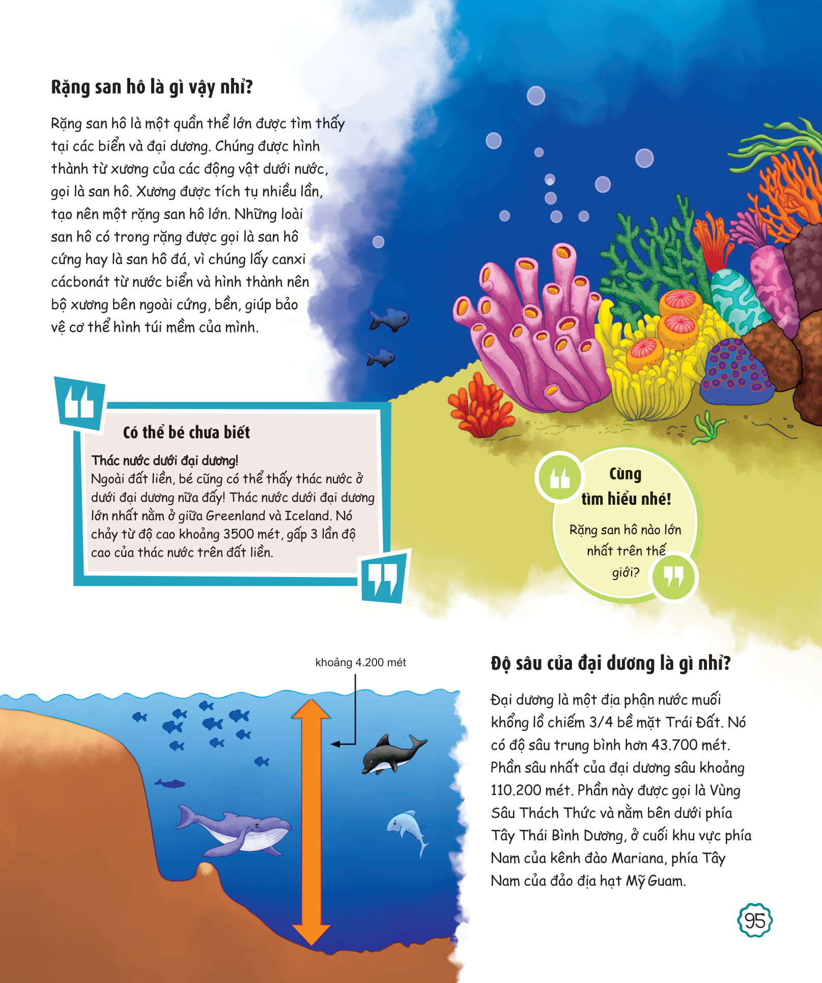 what? bố mẹ ơi đây là cái gì…?