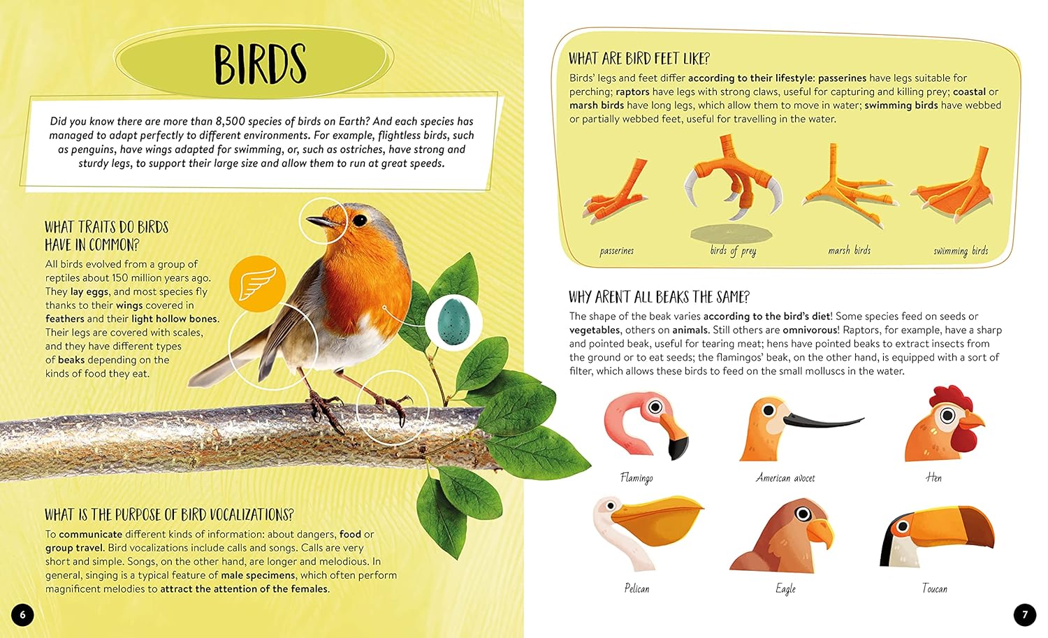 what how why animals