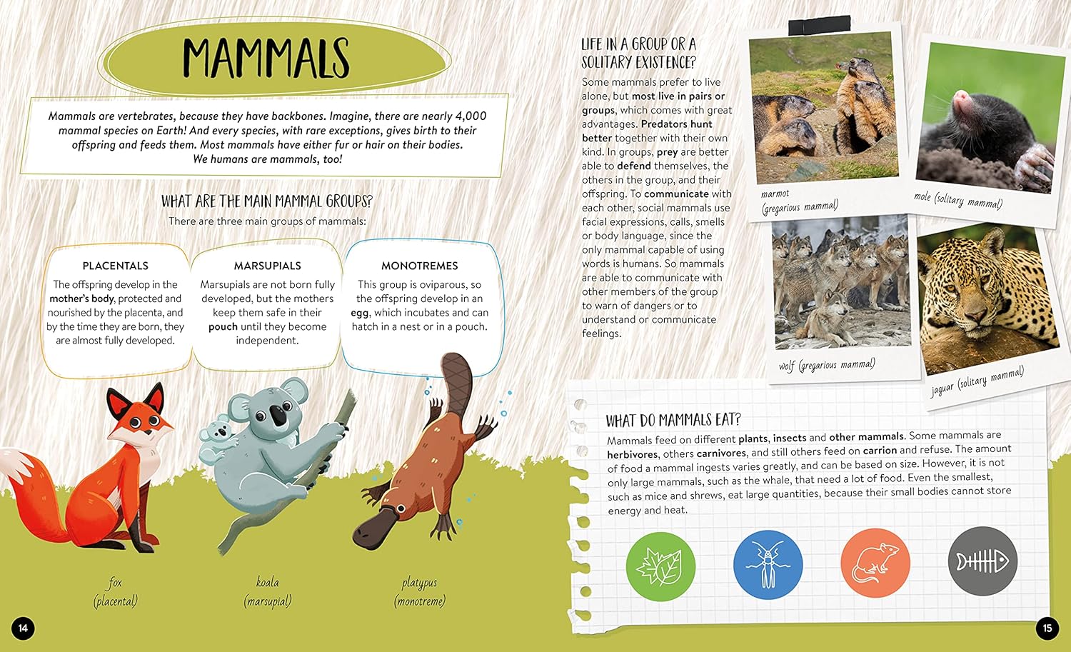 what how why animals