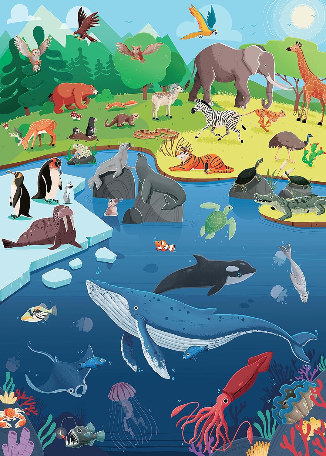 what how why animals