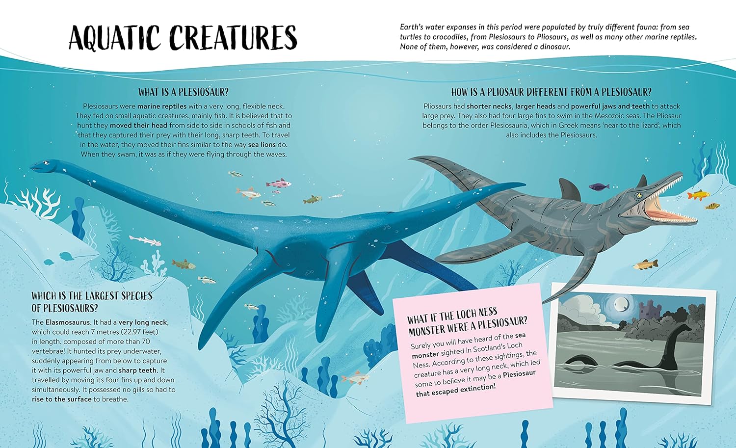 what how why dinosaurs