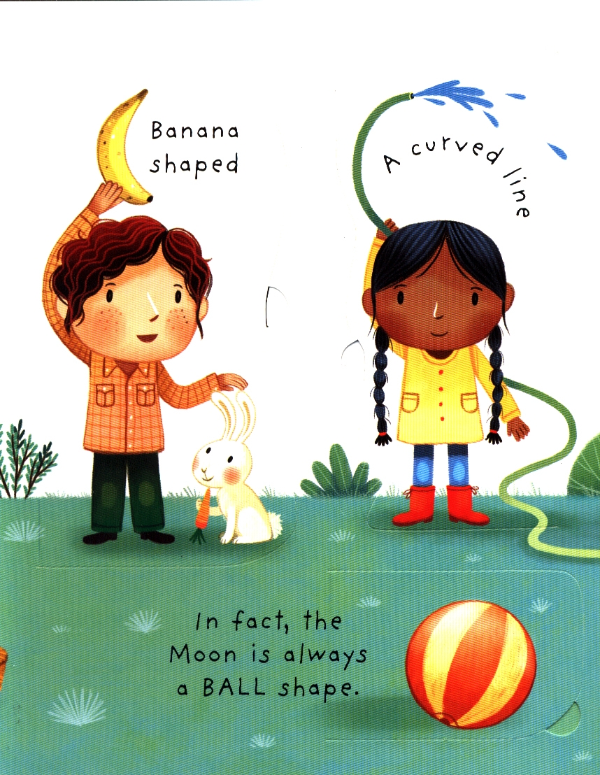 what is the moon? (very first lift-the-flap questions & answers)