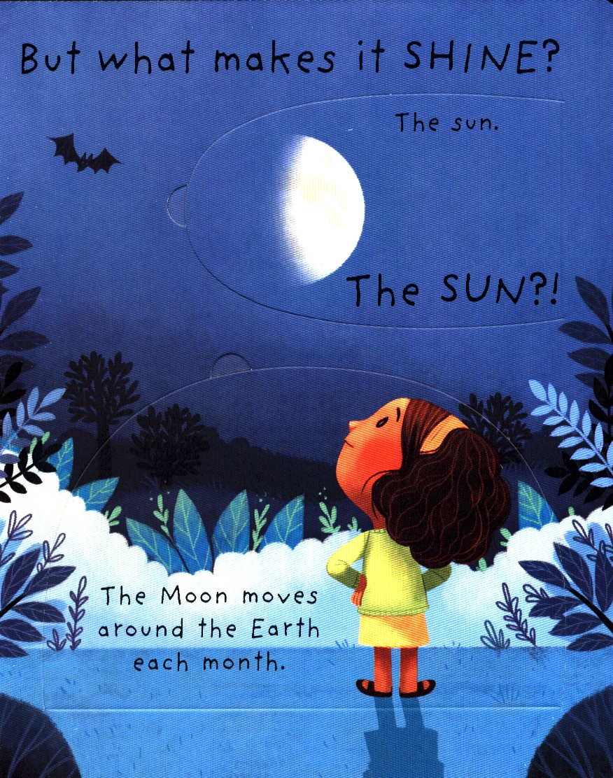 what is the moon? (very first lift-the-flap questions & answers)