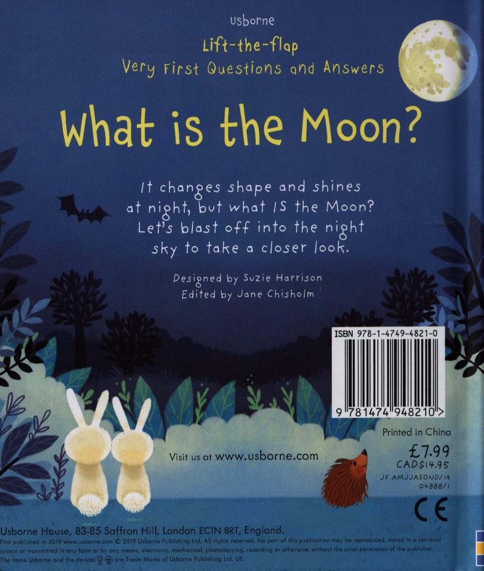 what is the moon? (very first lift-the-flap questions & answers)