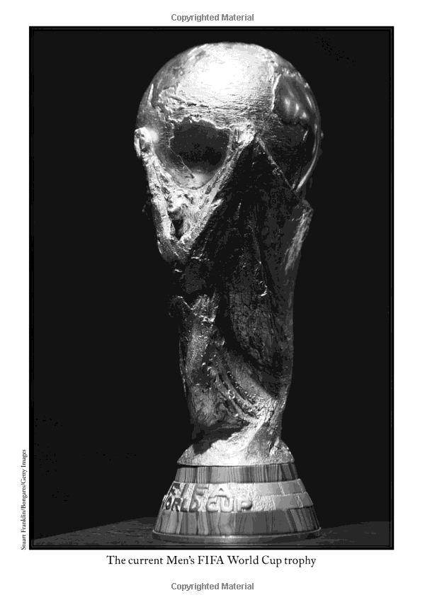 what is the world cup?