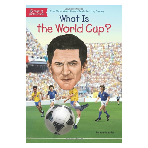 what is the world cup?