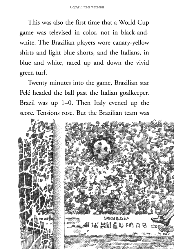 what is the world cup?