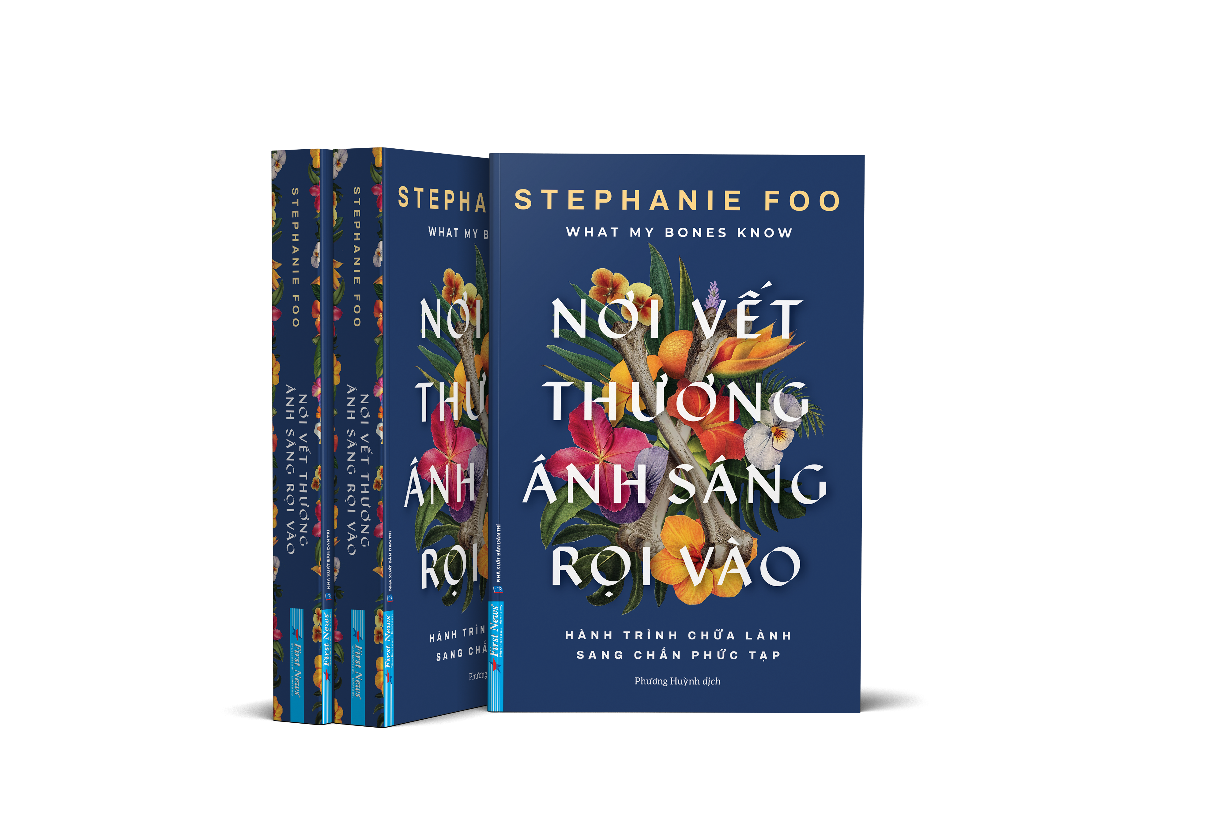 What My Bones Know - Noi Vet Thuong Anh Sang Roi Vao - Hanh Trinh Chua Lanh Sang Chan Phuc Tap