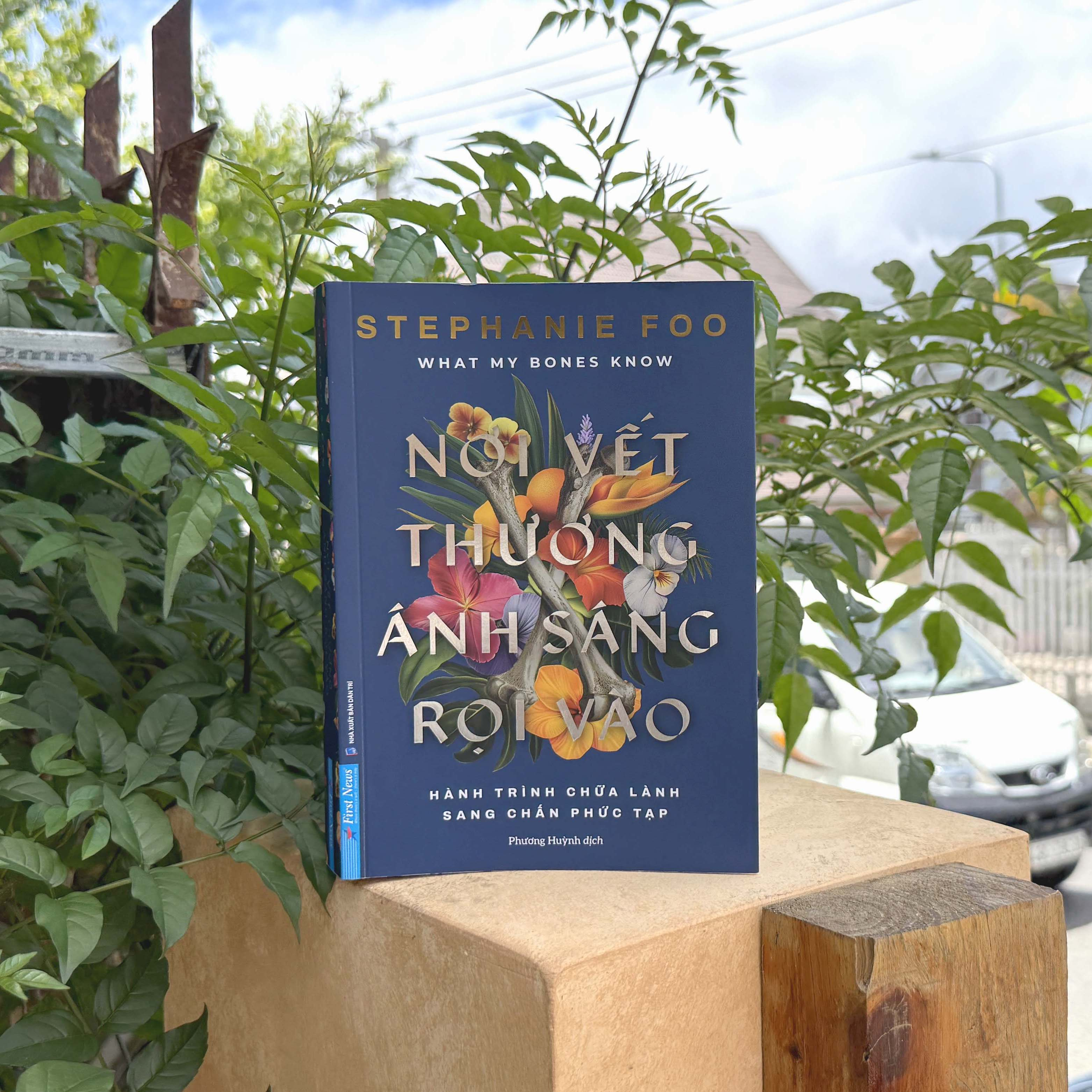 What My Bones Know - Noi Vet Thuong Anh Sang Roi Vao - Hanh Trinh Chua Lanh Sang Chan Phuc Tap