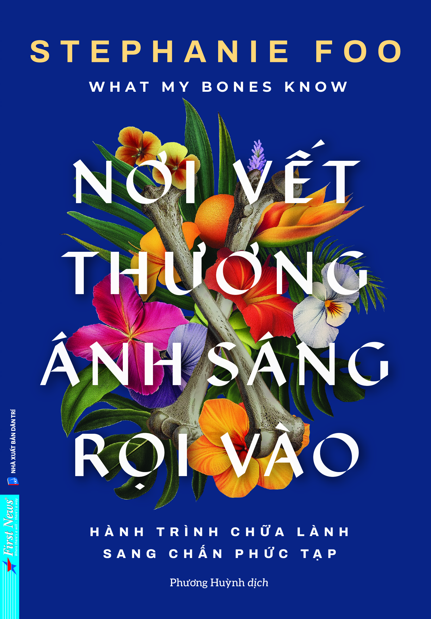 What My Bones Know - Noi Vet Thuong Anh Sang Roi Vao - Hanh Trinh Chua Lanh Sang Chan Phuc Tap