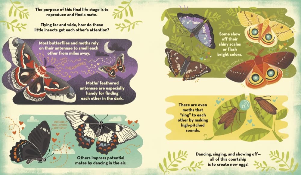 what's inside a caterpillar cocoon?