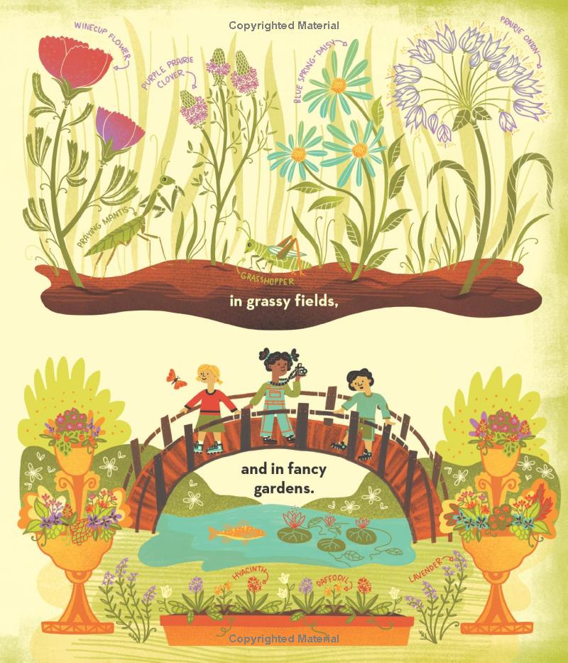 what's inside a flower?