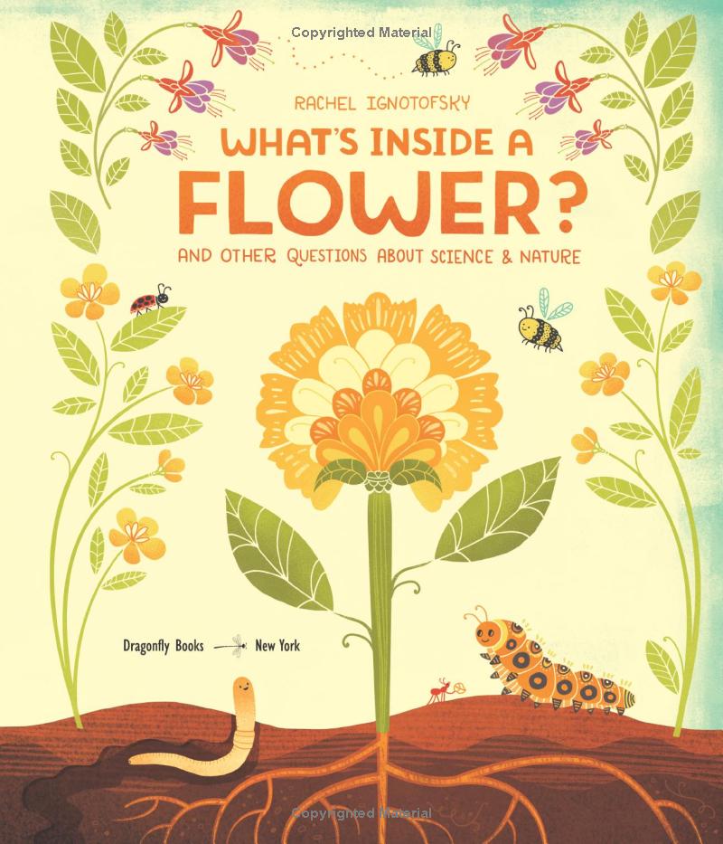 what's inside a flower?