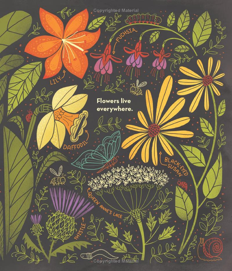 what's inside a flower?