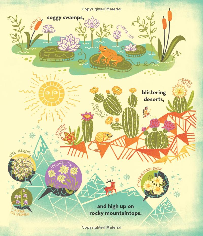 what's inside a flower?