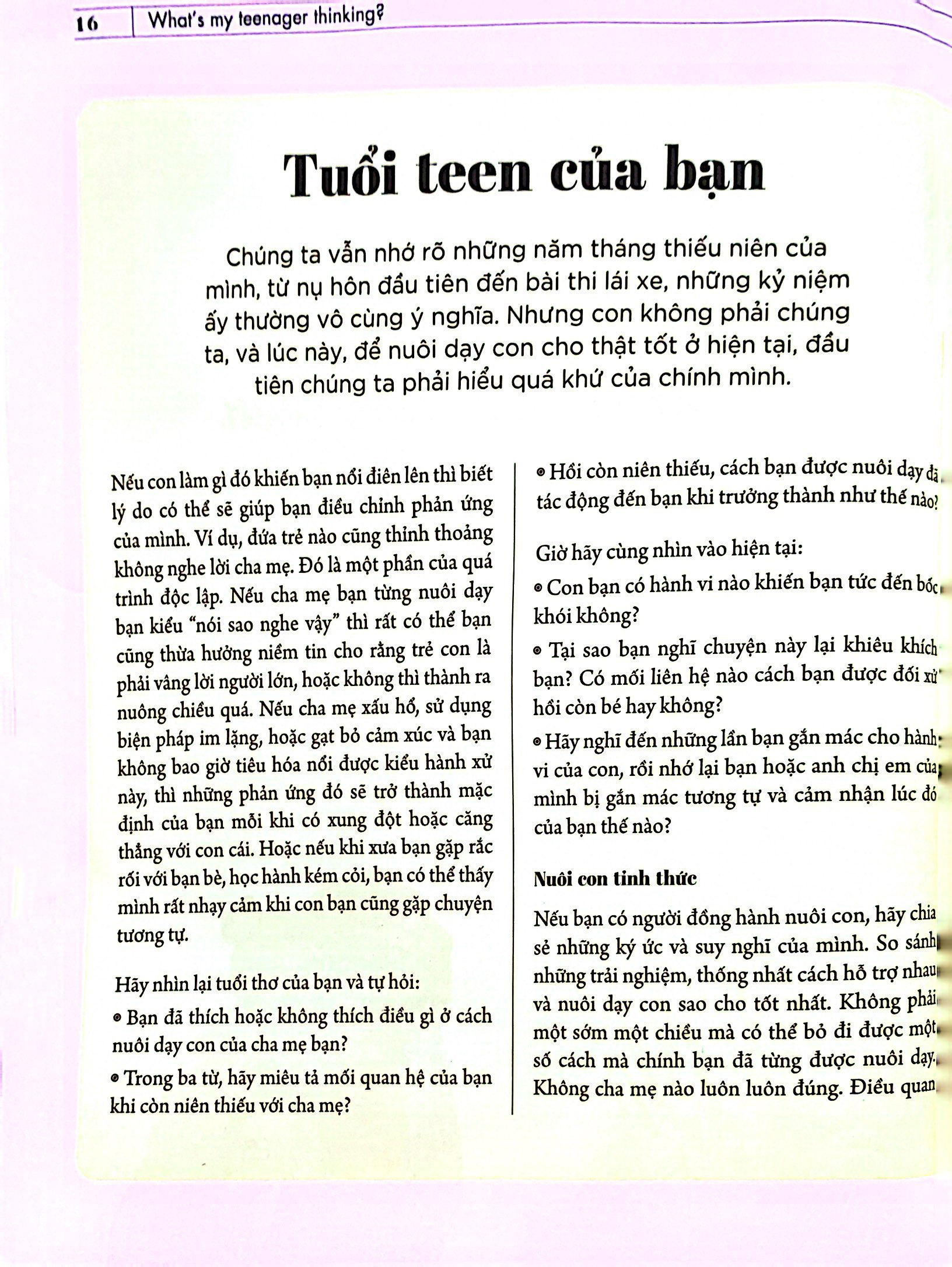what's my teenager thinking? - tâm lý học trẻ em thực hành cho cha mẹ hiện đại - tuổi từ 13 đến 18