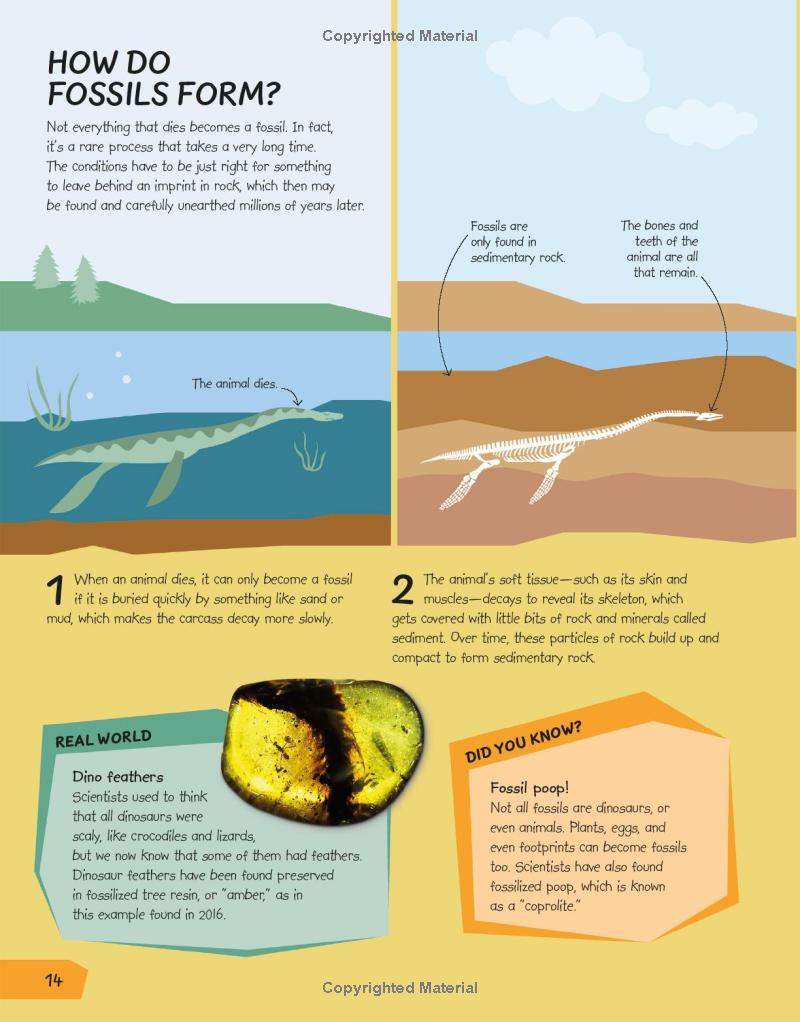 what's the point of science?