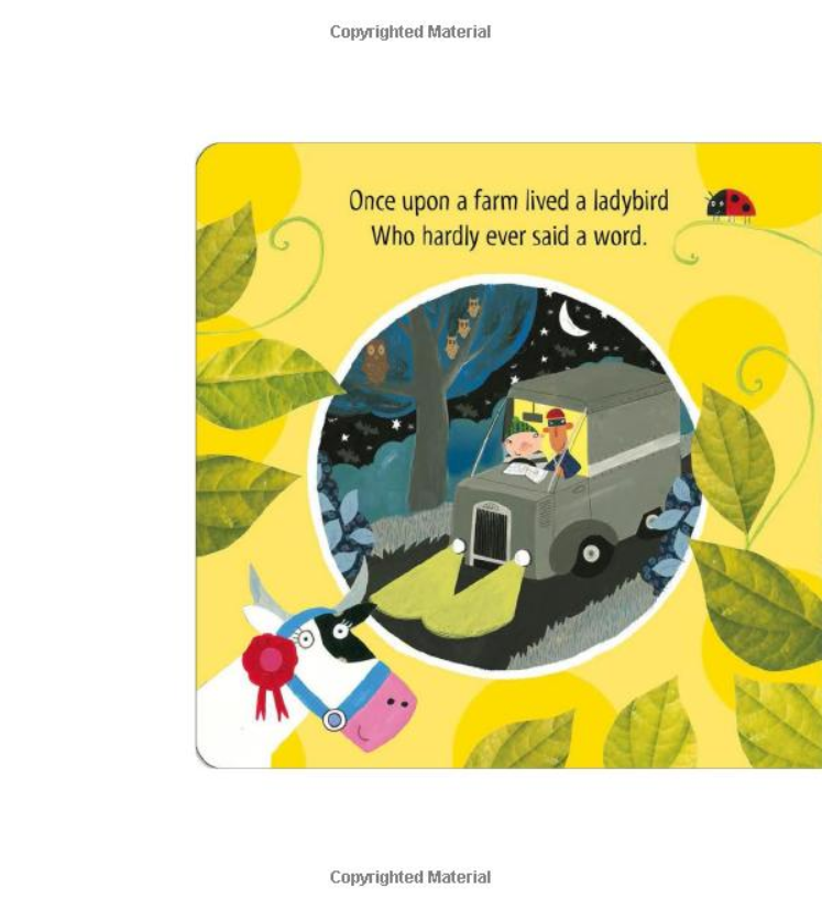 what the ladybird heard: a push, pull and slide book