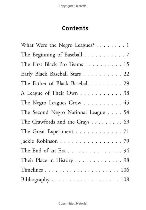 what were the negro leagues? (what was?)