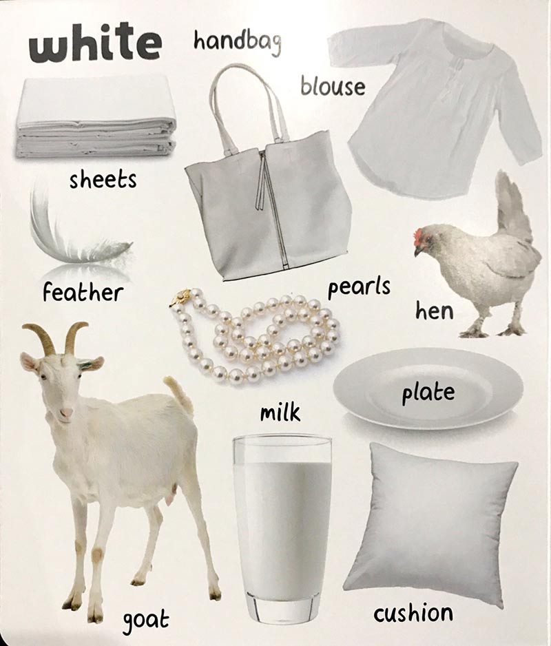 whats that tabbed colours