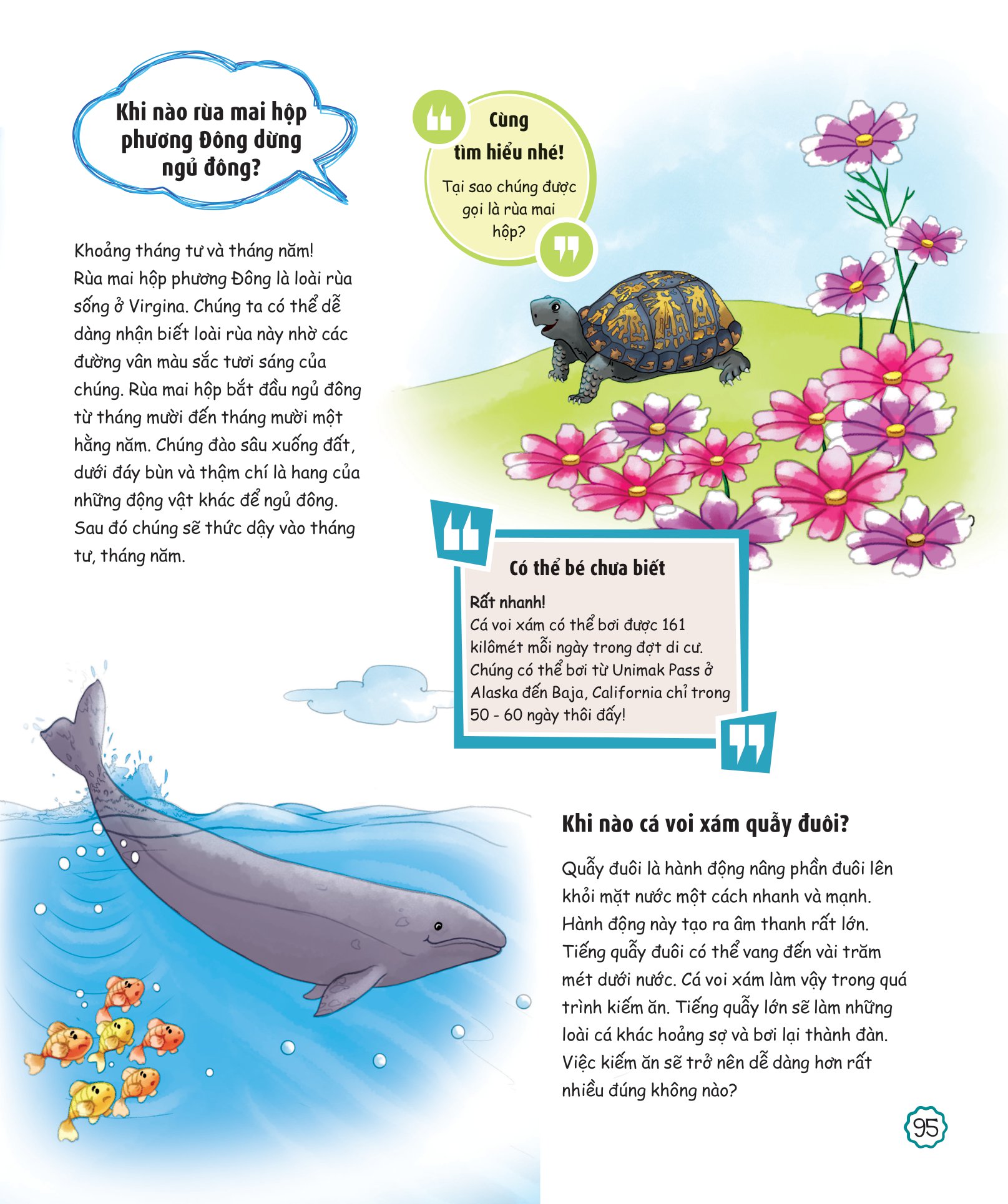 when? bố mẹ ơi khi nào…?