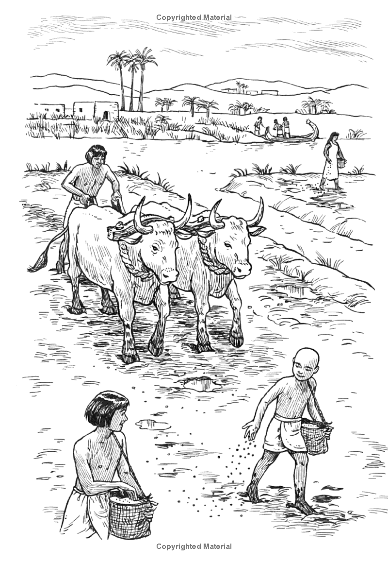 where are the constellations?