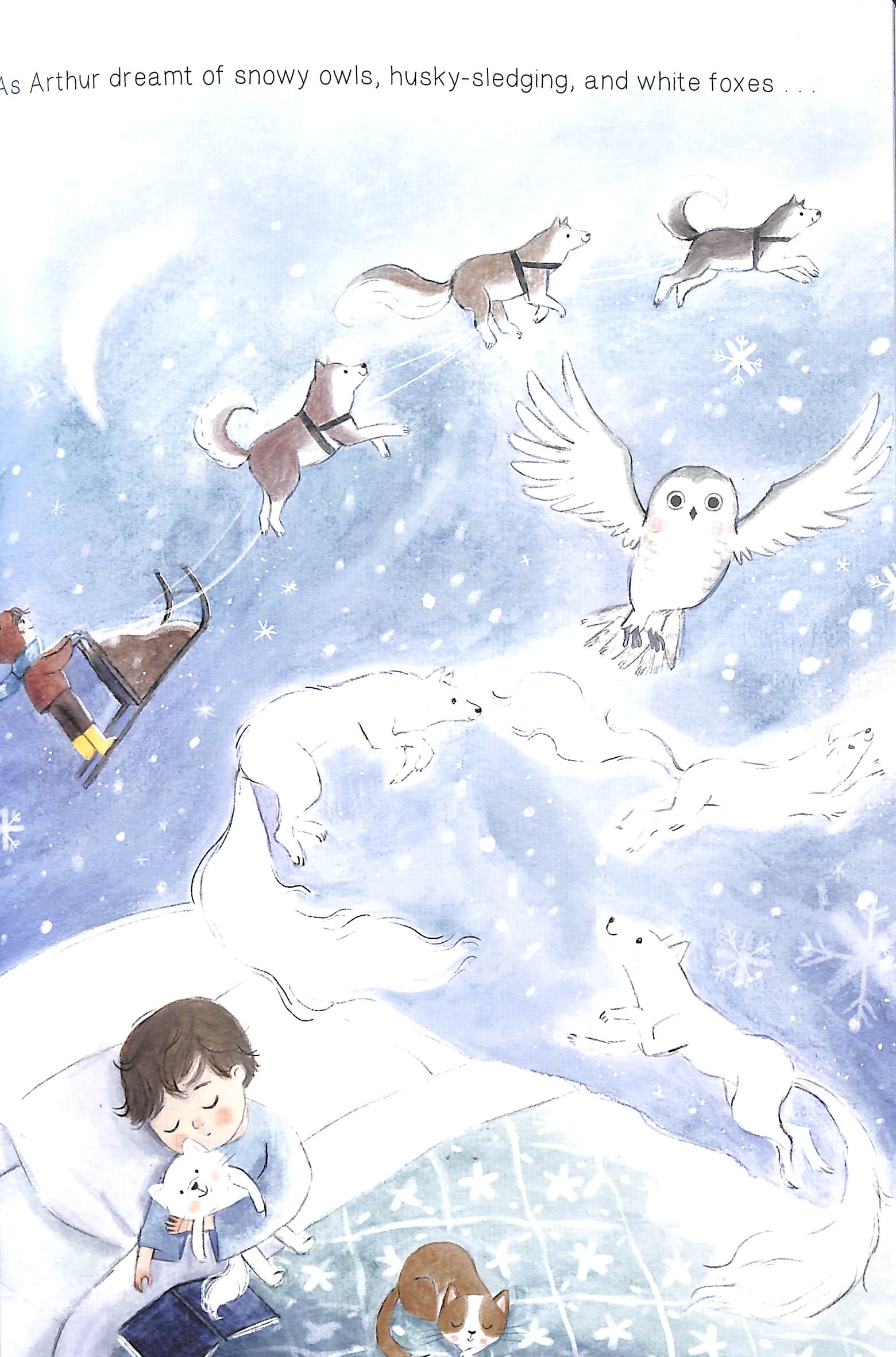 where björn belongs