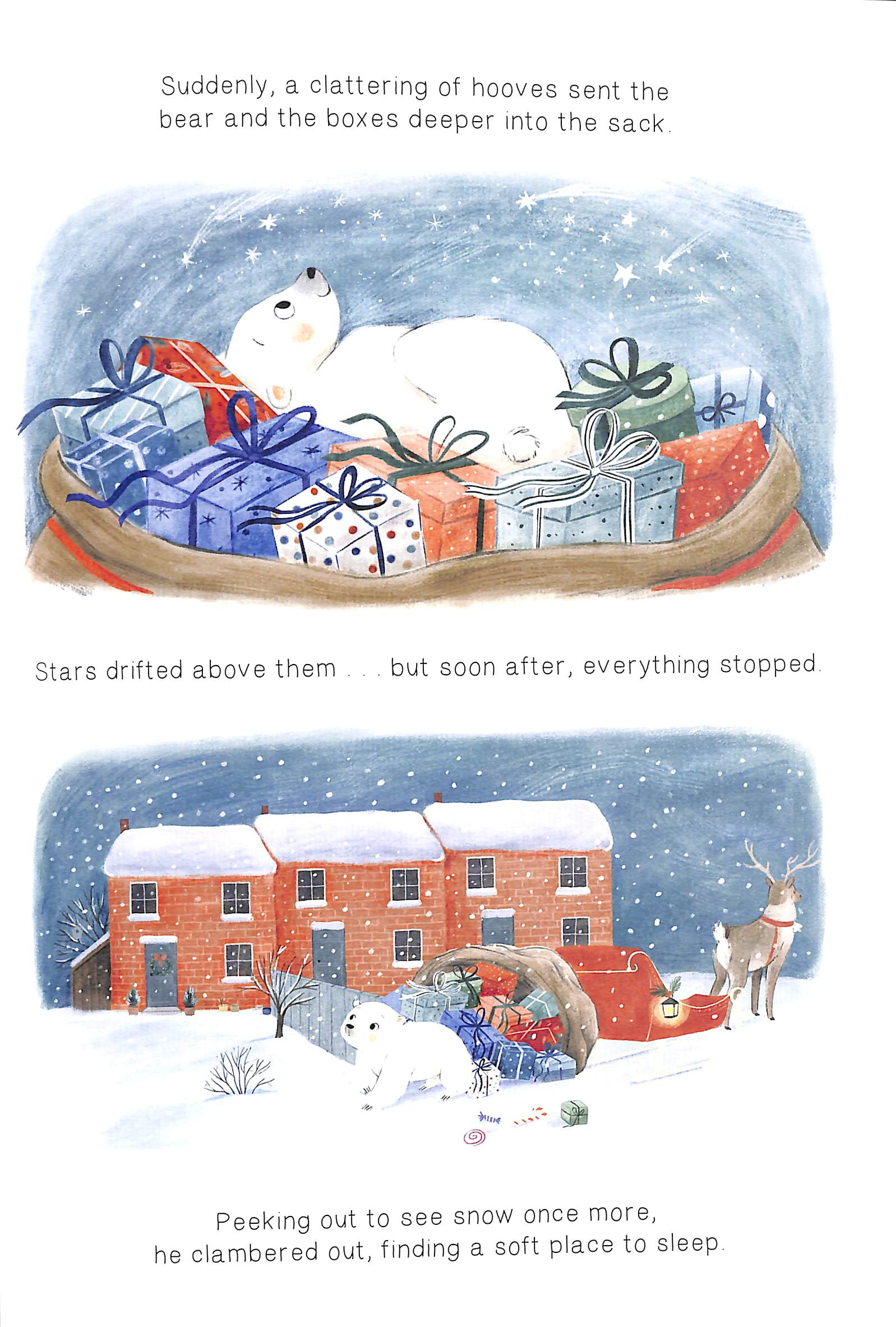 where björn belongs