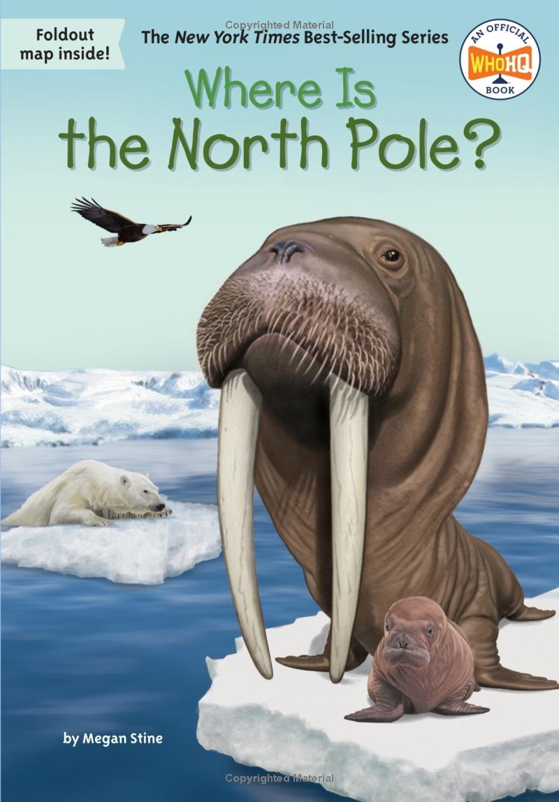 where is the north pole?