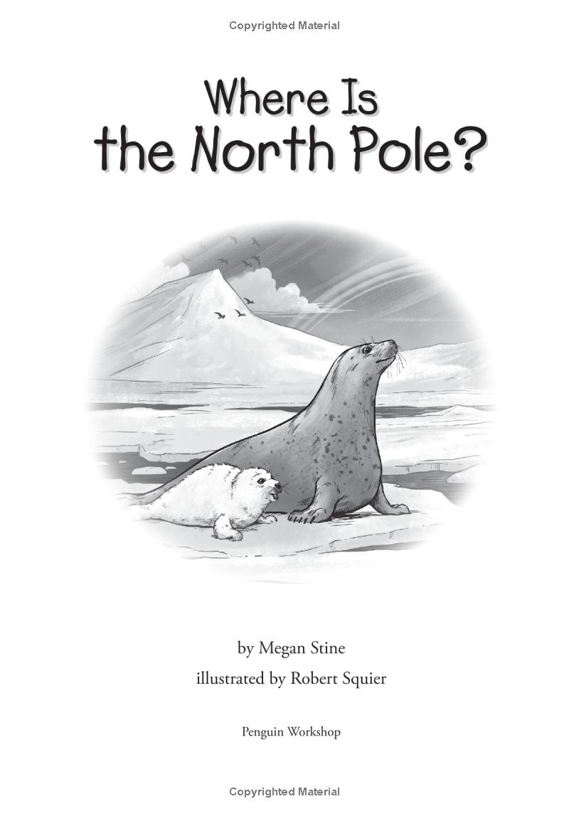 where is the north pole?