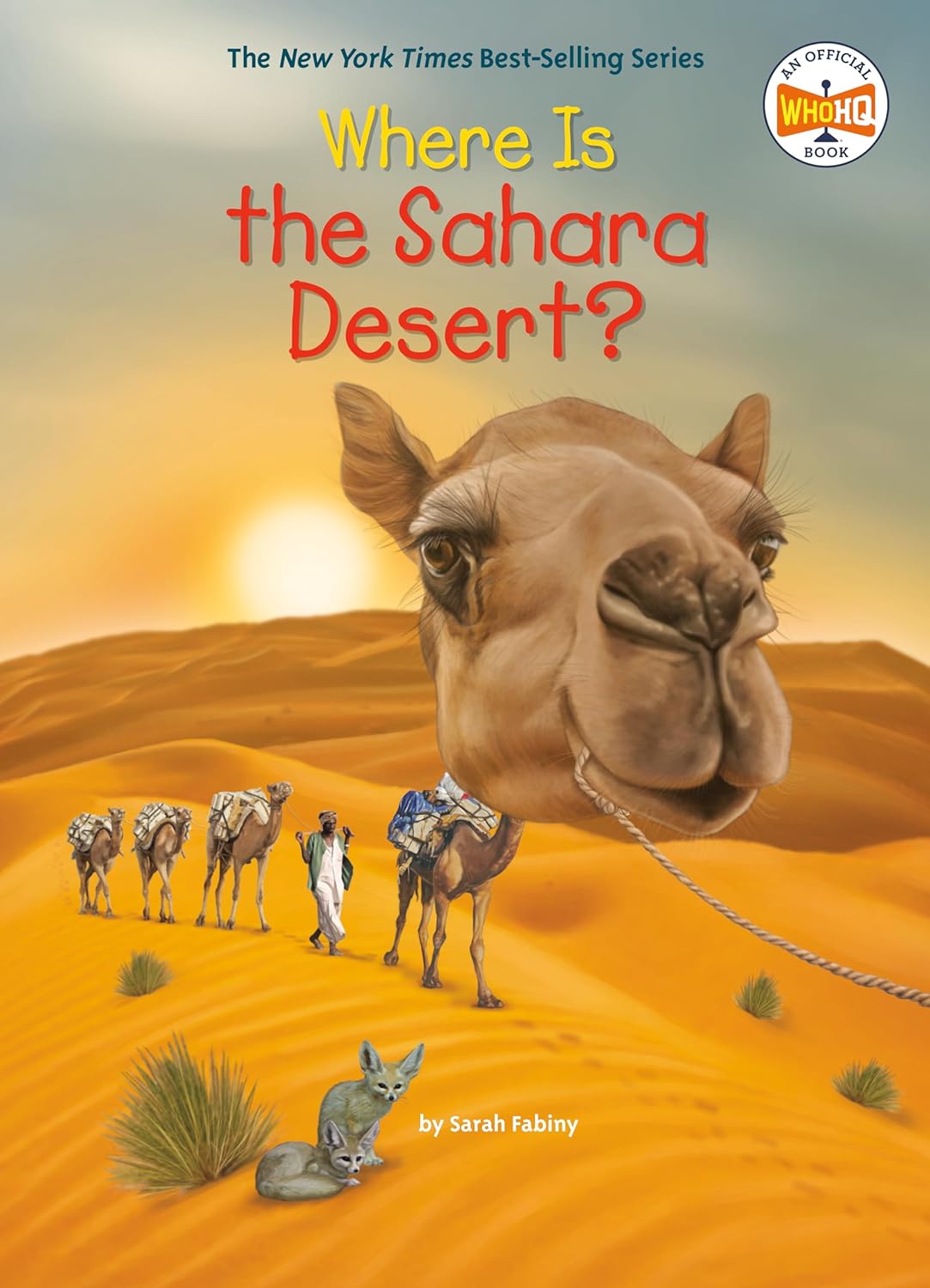 where is the sahara desert?