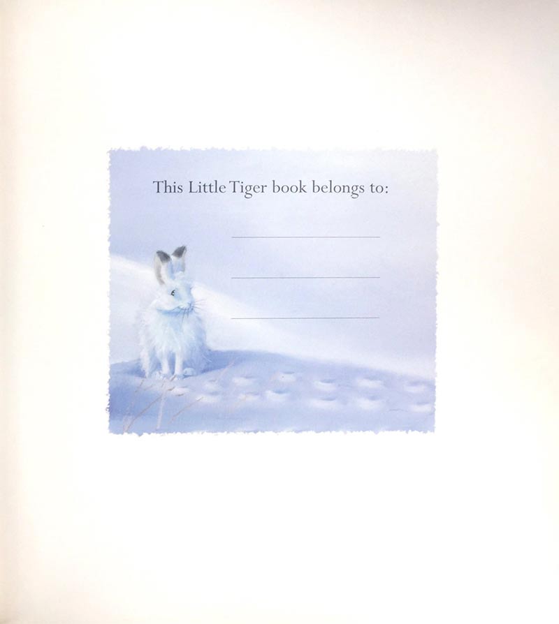 where snowflakes fall