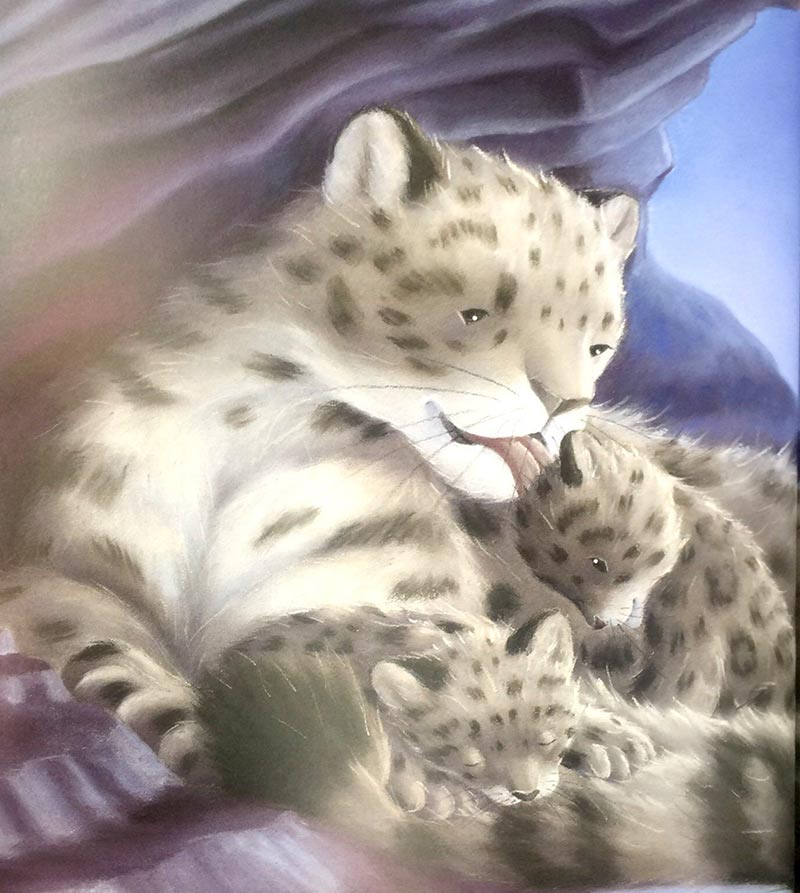 where snowflakes fall