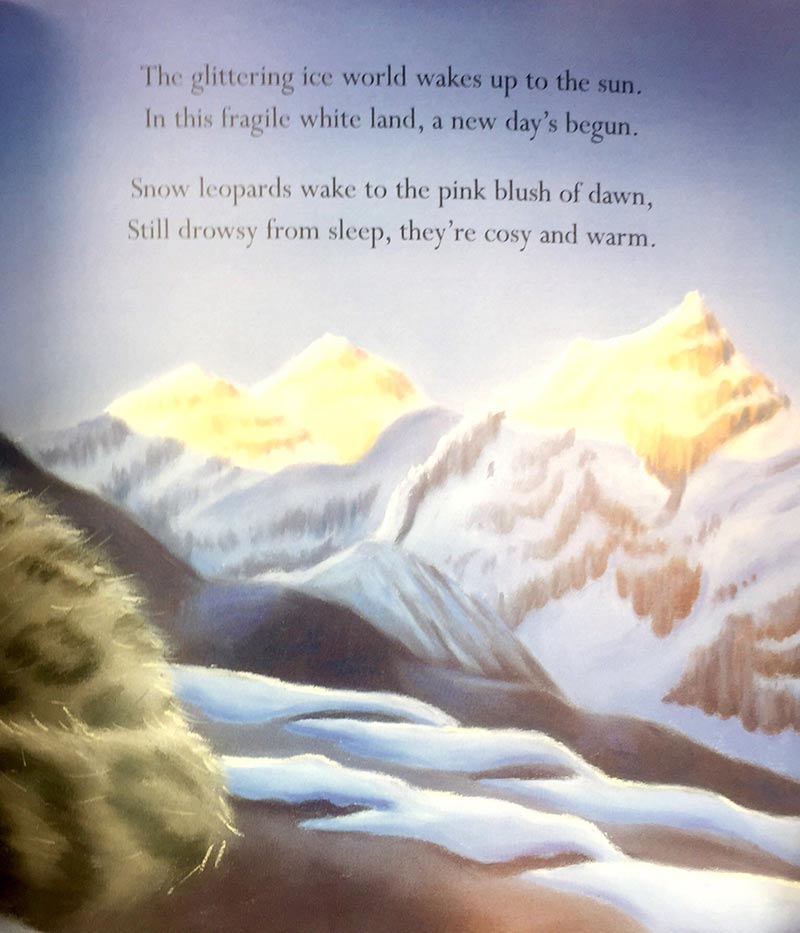 where snowflakes fall