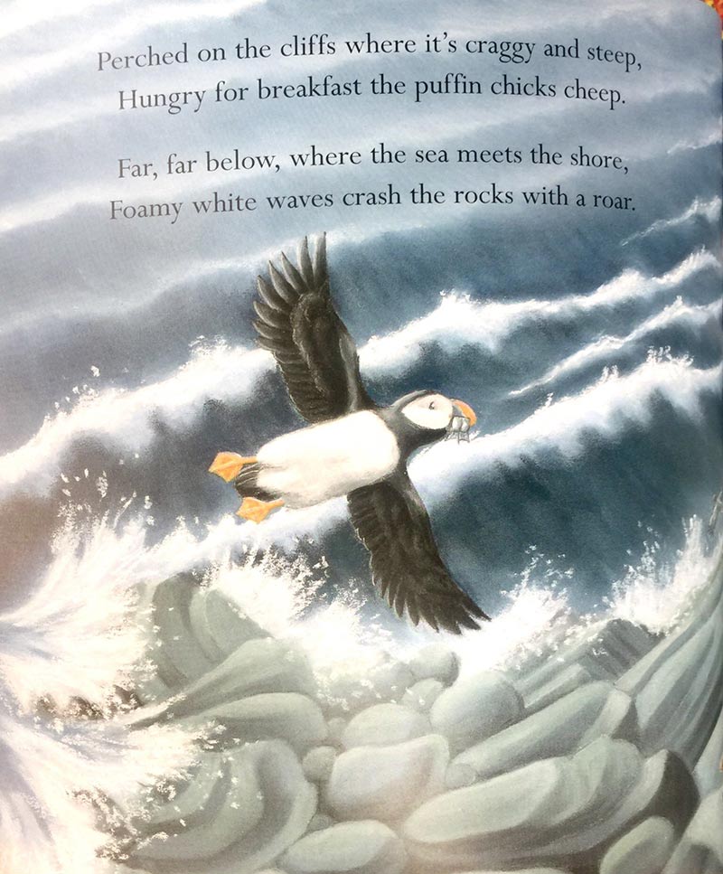 where snowflakes fall