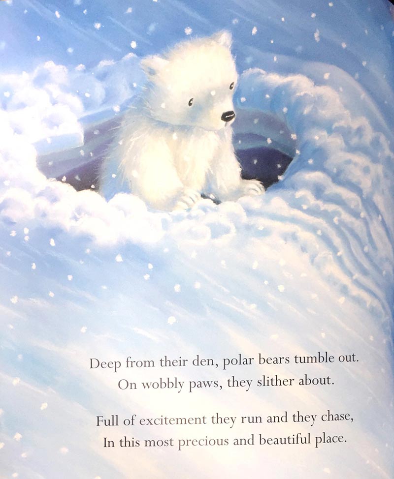 where snowflakes fall