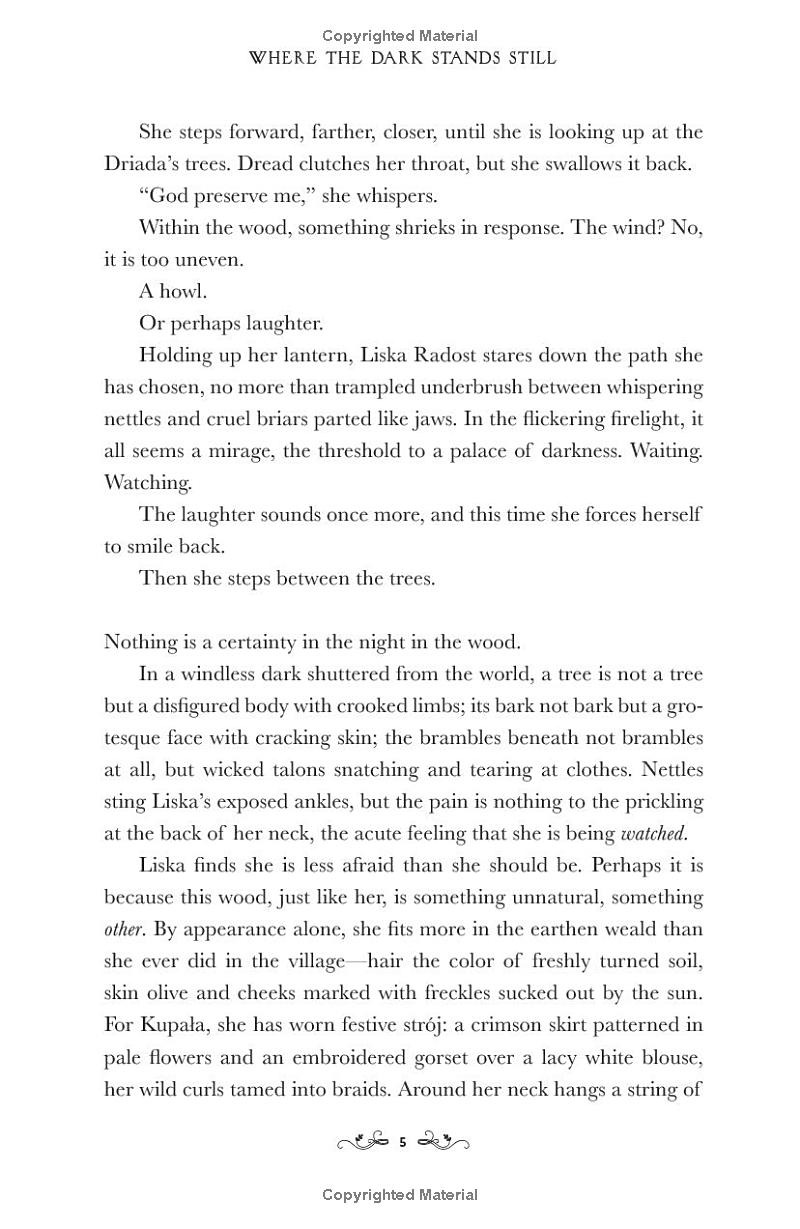 where the dark stands still