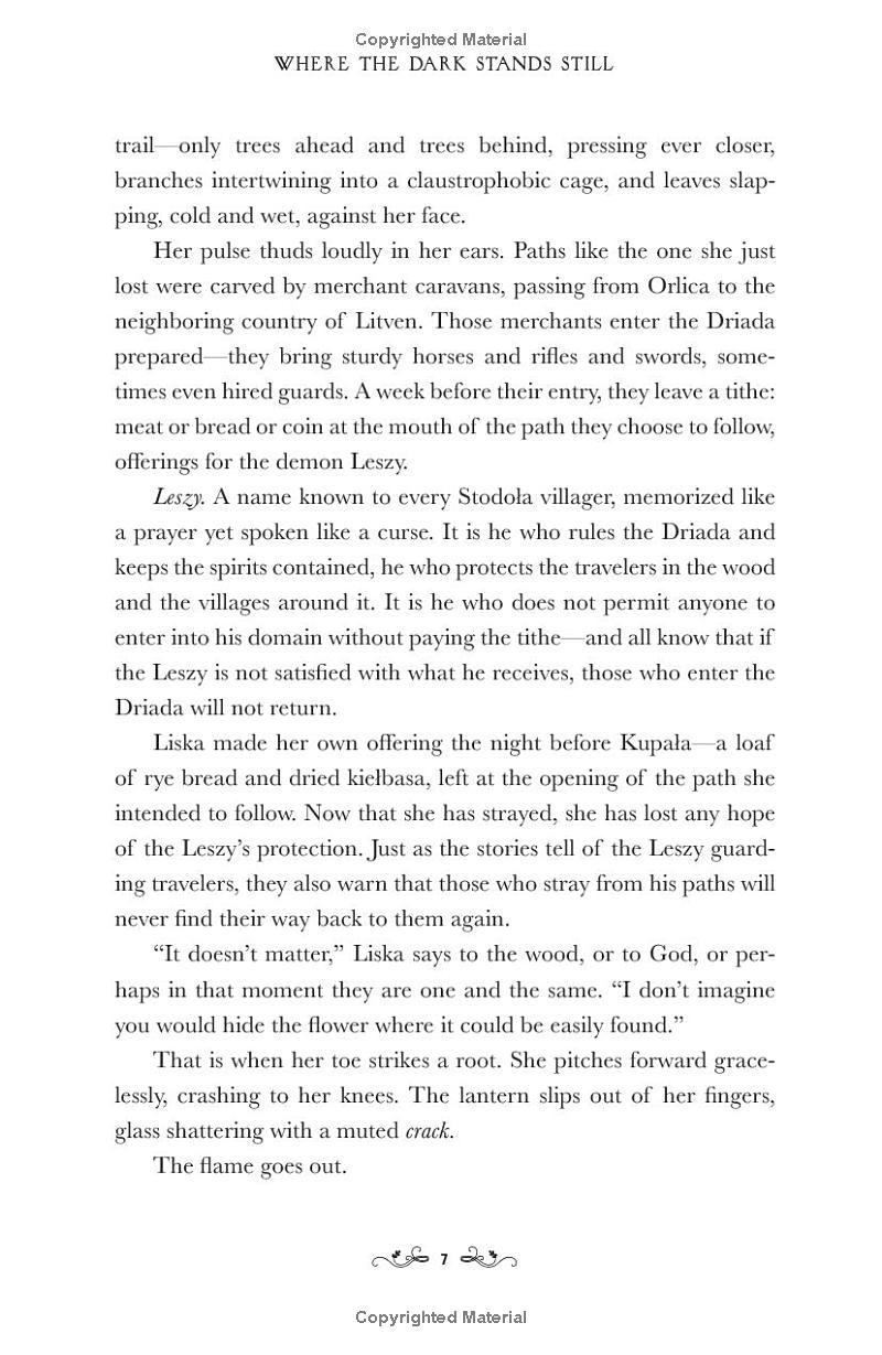 where the dark stands still