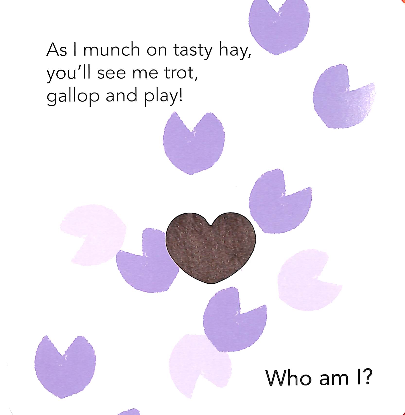who am i? touch & feel flap book: farm animals