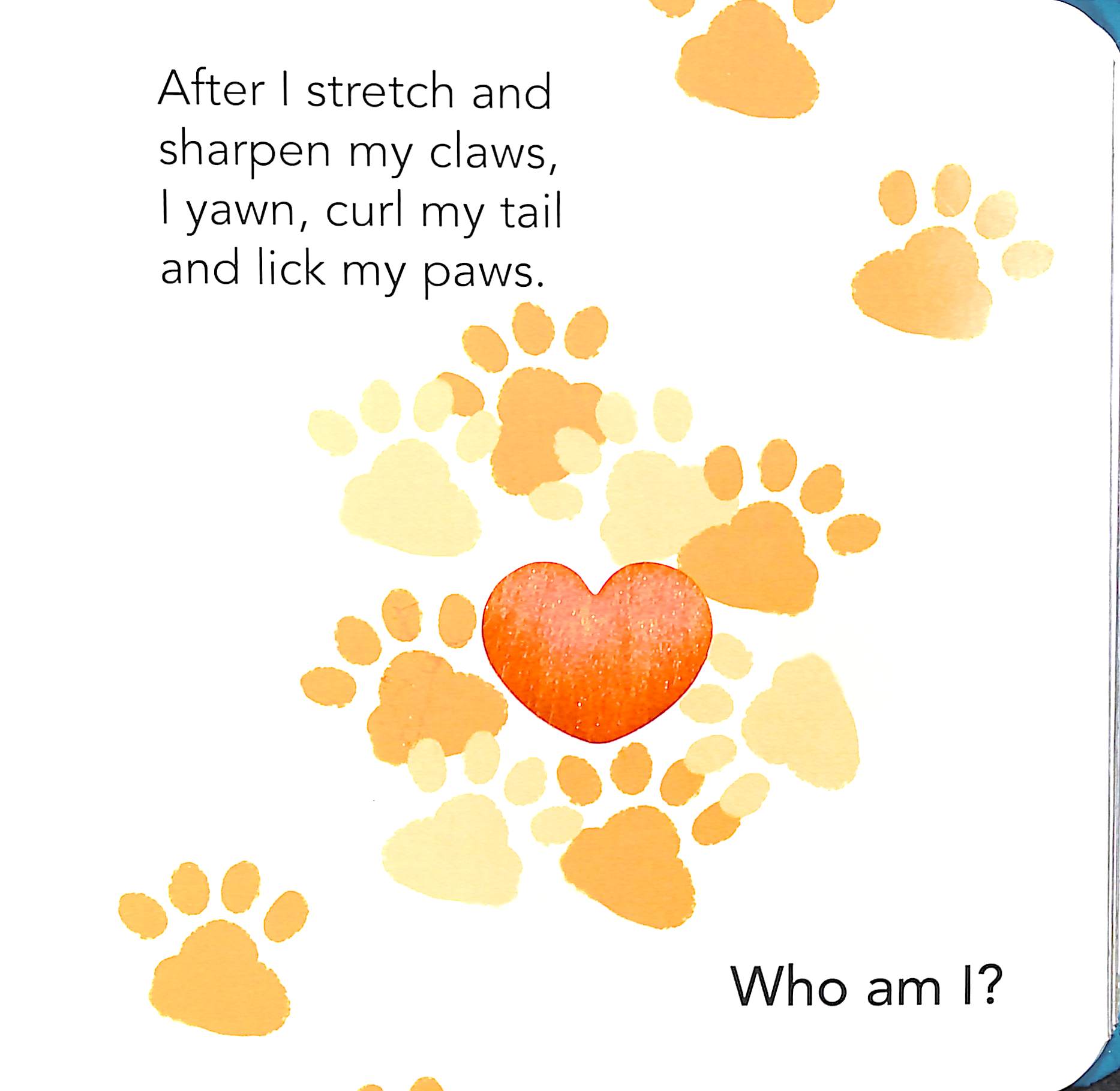 who am i? touch & feel flap book: pets