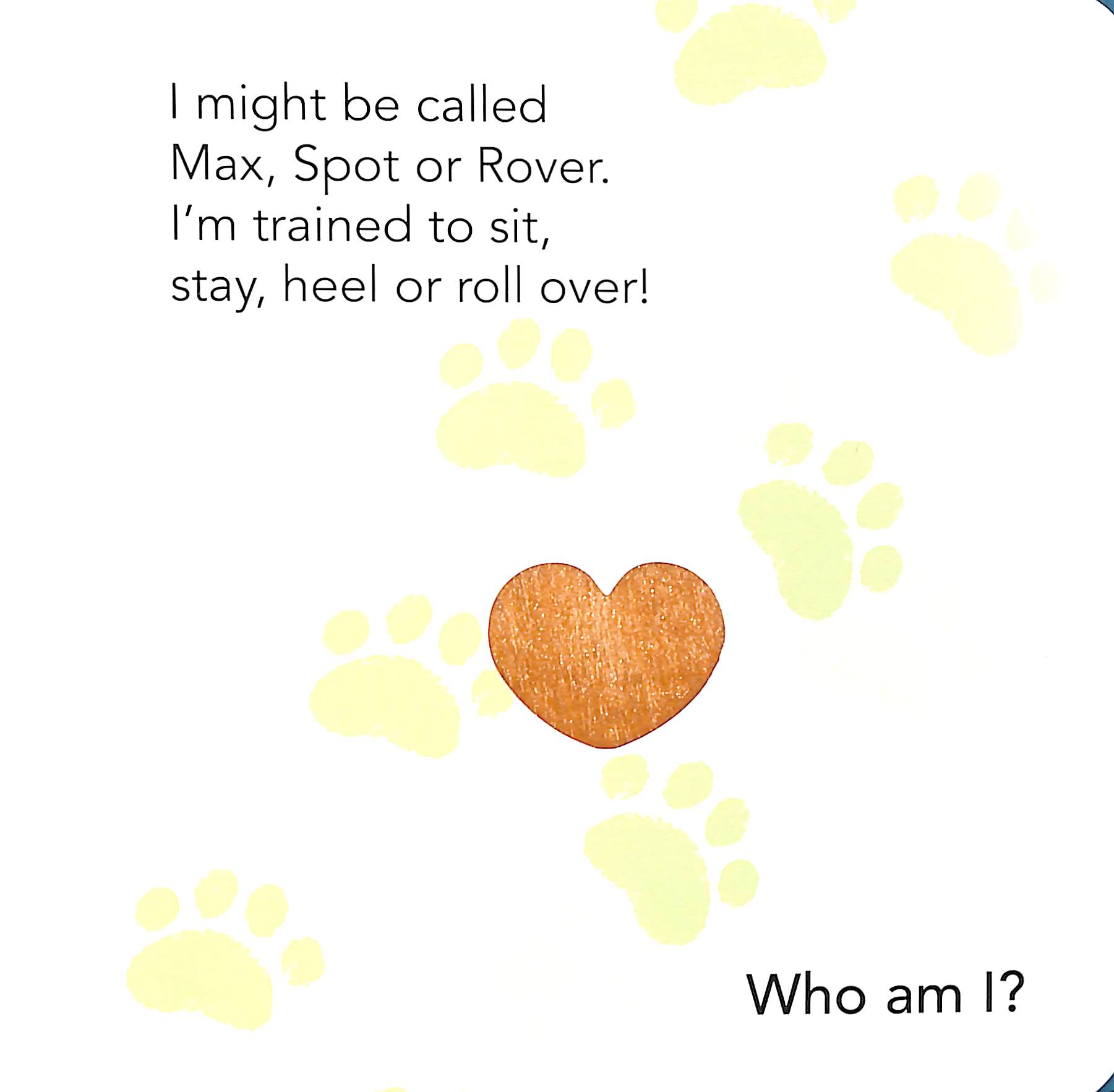 who am i? touch & feel flap book: pets