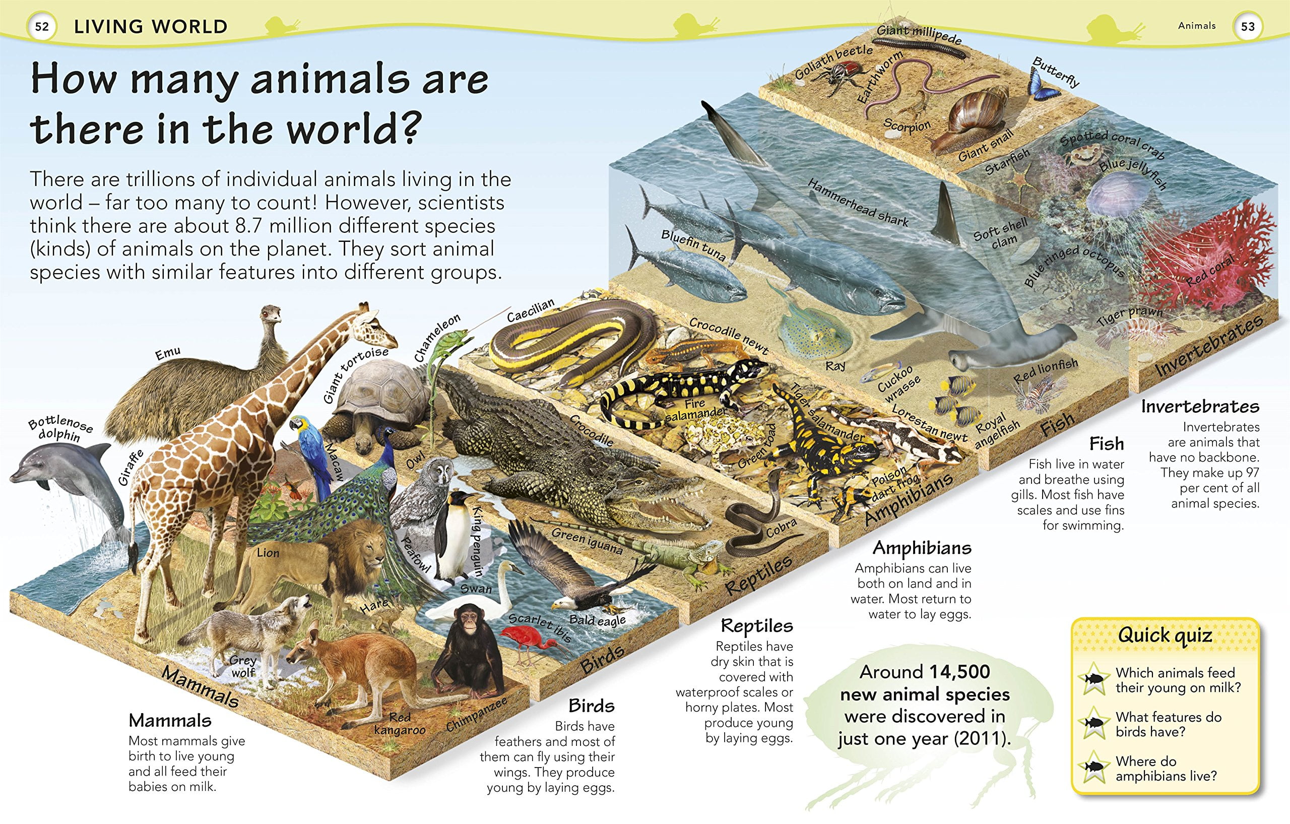 why? encyclopedia (hardcover)