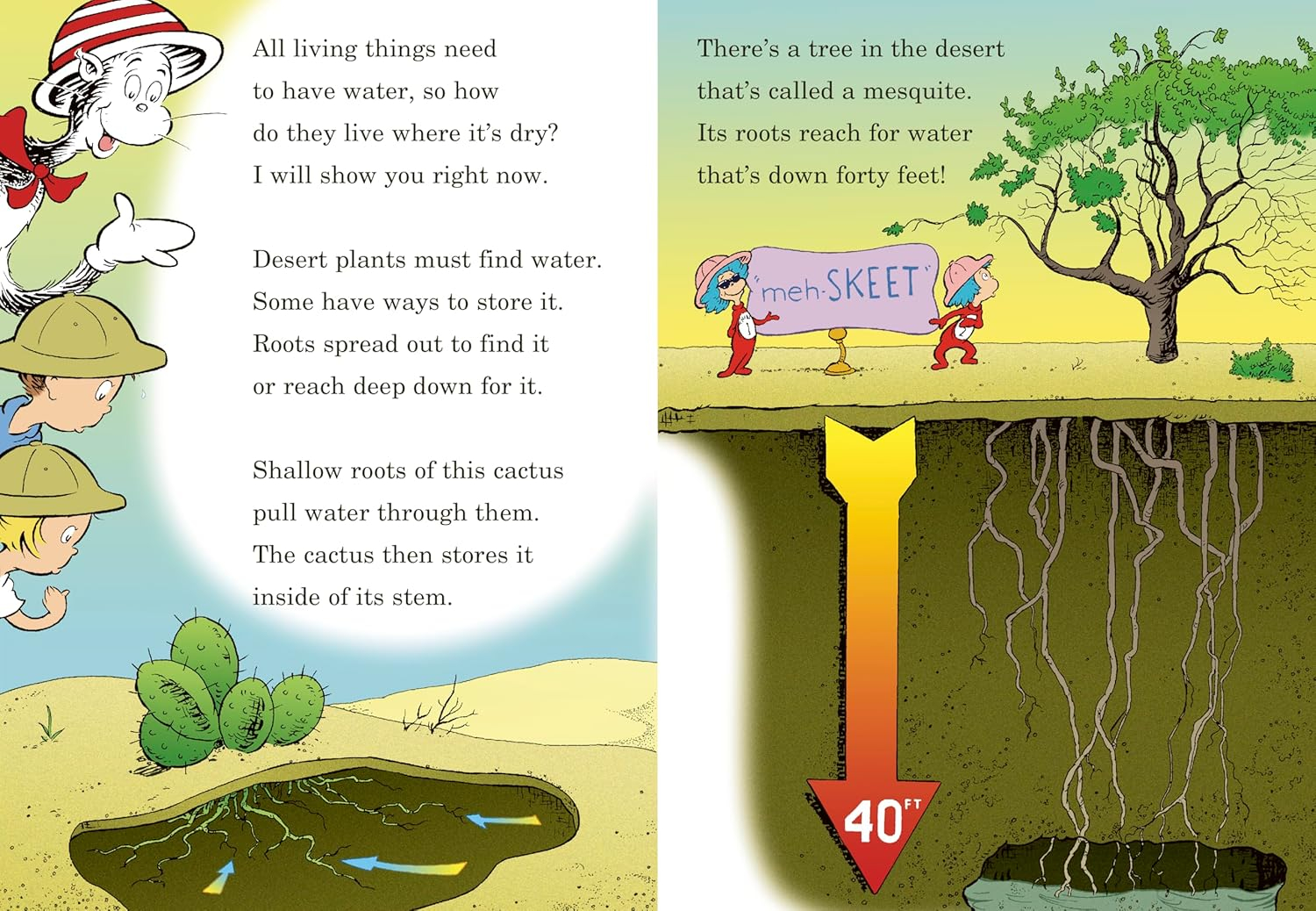 why oh why are deserts dry?