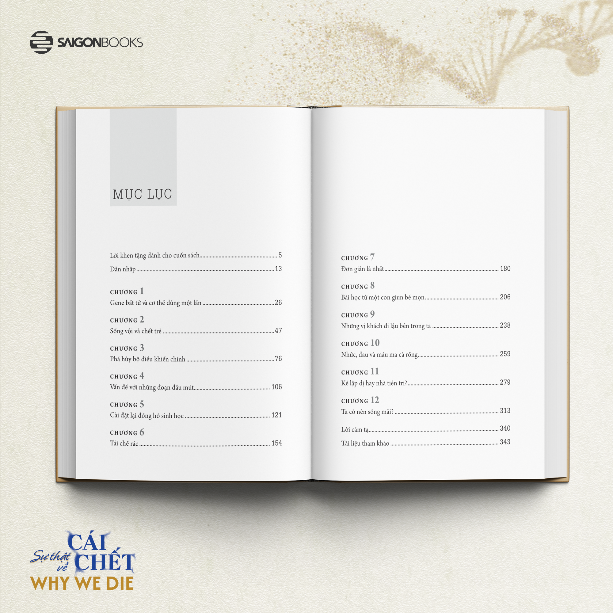 Why We Die - Su That Ve Cai Chet