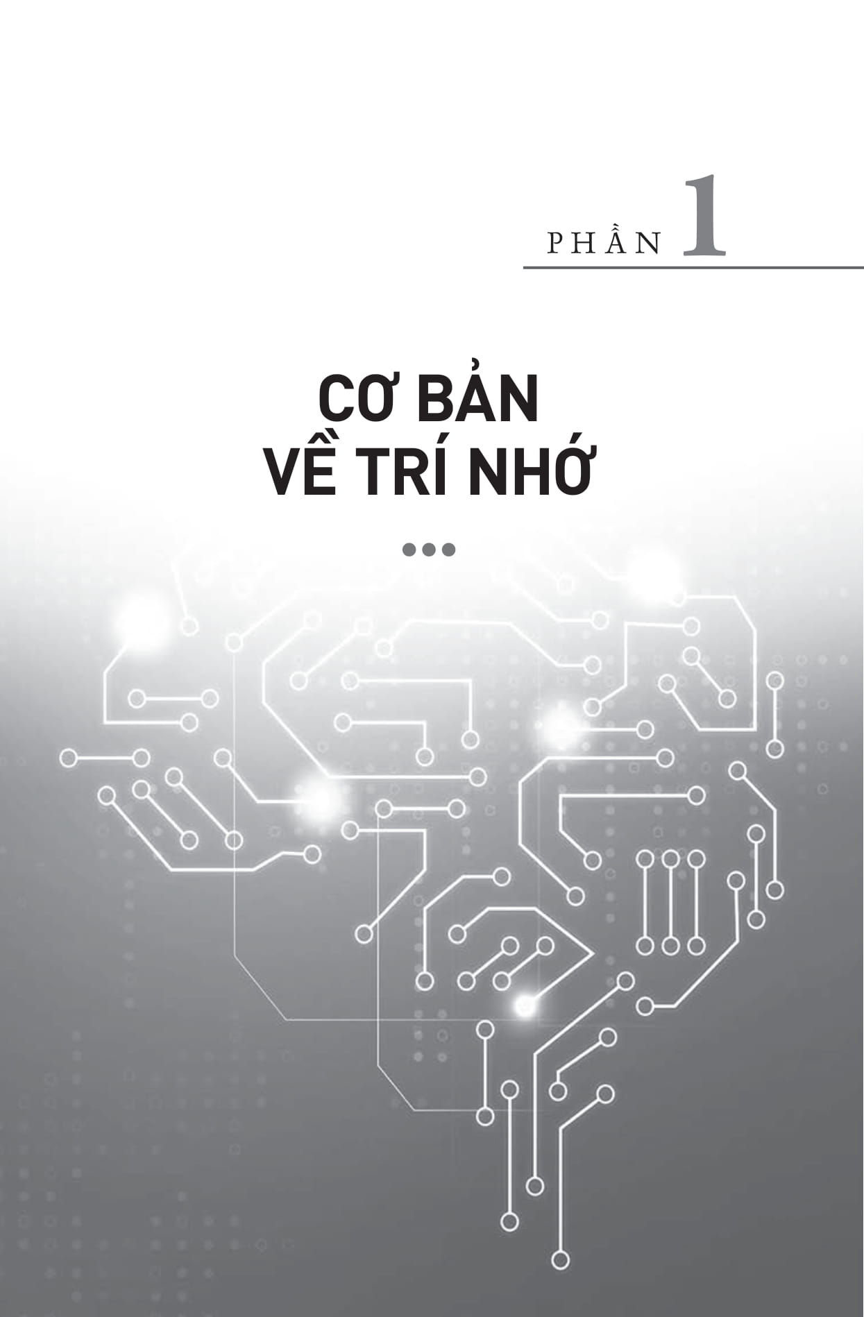 Why We Remember - Su That Ve Tri Nho - Mo Khoa Suc Manh Ky Uc De Toi Uu Viec Ghi Nho