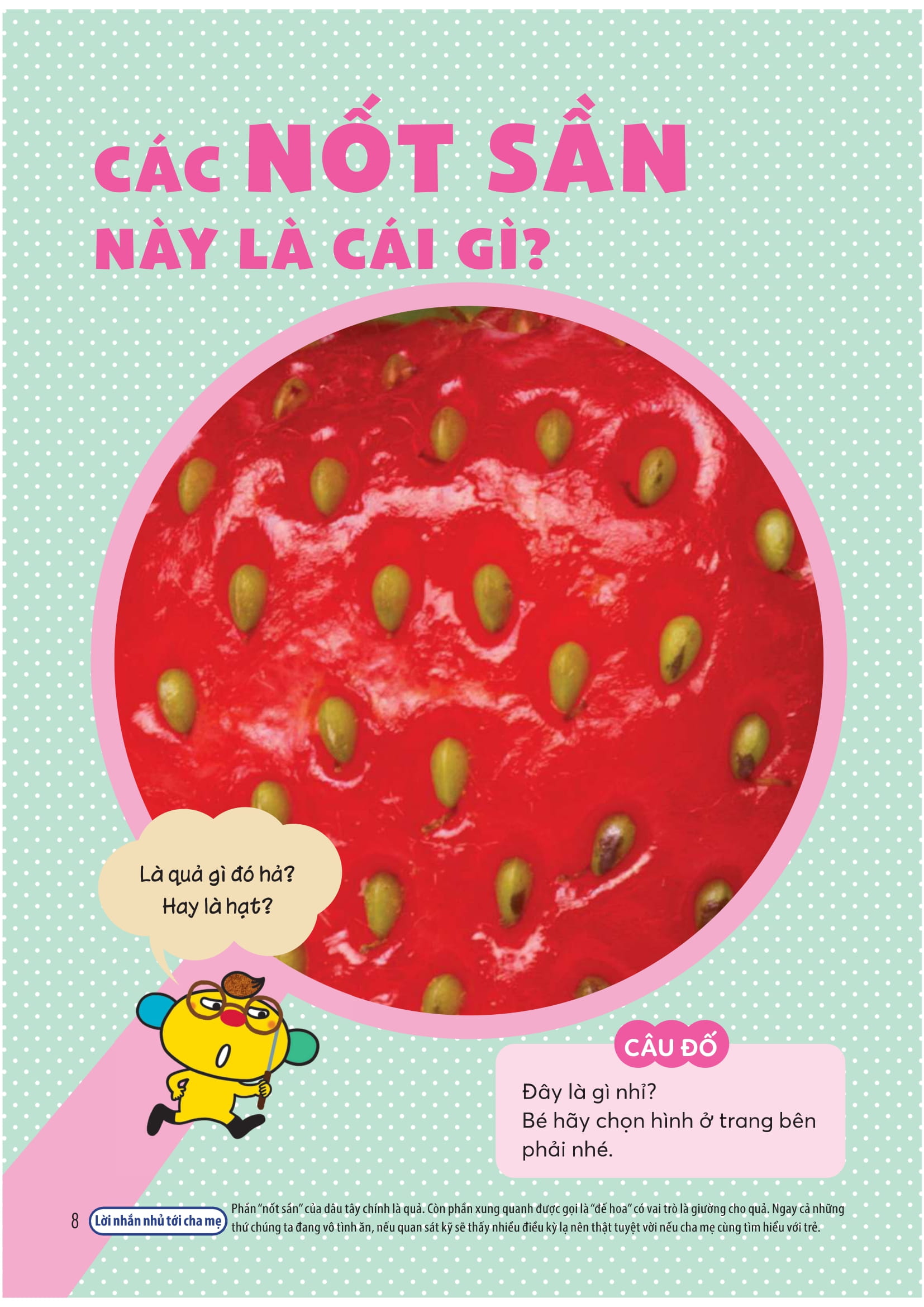 Wiki Wiki Tien Tieu Hoc - Dua Tre Thien Tai - Khoa Hoc Ky Thu